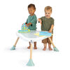 Ingenuity Tummy-to-Toes  6-in-1 Milestones Center