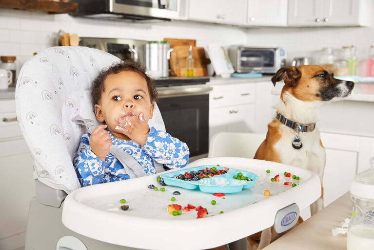 Graco SimpleSwitch 2-in-1 Highchair, Reign