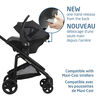 Maxi-Cosi Mico Luxe+ Siège auto pour bébé Select Gris