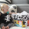 Baby Einstein High Contrast Box
