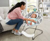 Fisher-Price See & Soothe Deluxe Bouncer