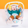 Bright Starts Whimsical Wild - Cradling Bouncer