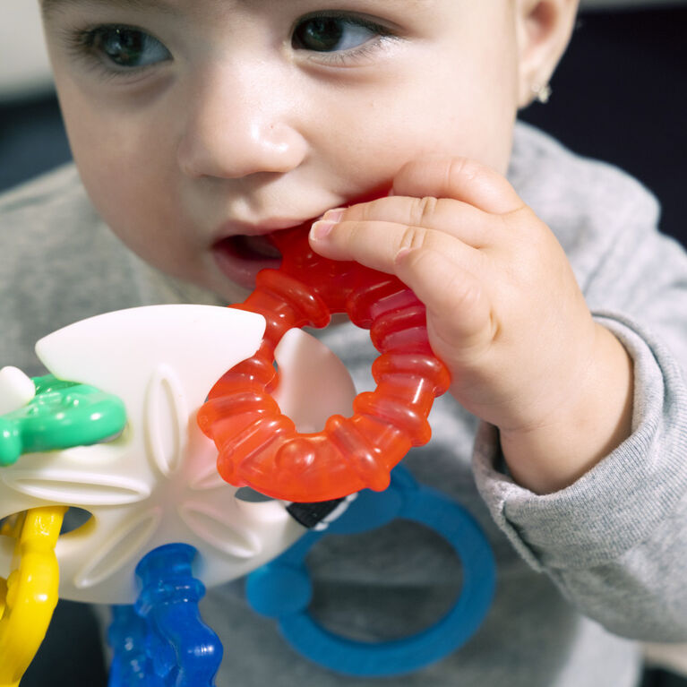 Baby Einstein Ocean Explorer - Sea of Sensory Teether Toy