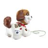 VTech Walk and Woof Puppy - English Edition