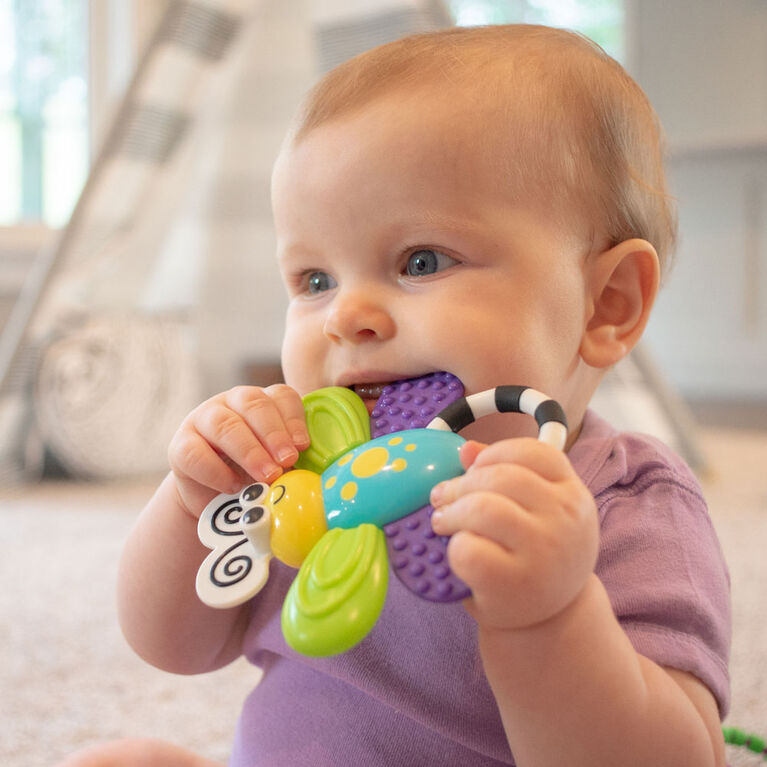 Baby Development Toys: A Complete Guide