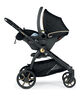 Ypsi Stroller - Graphic Gold