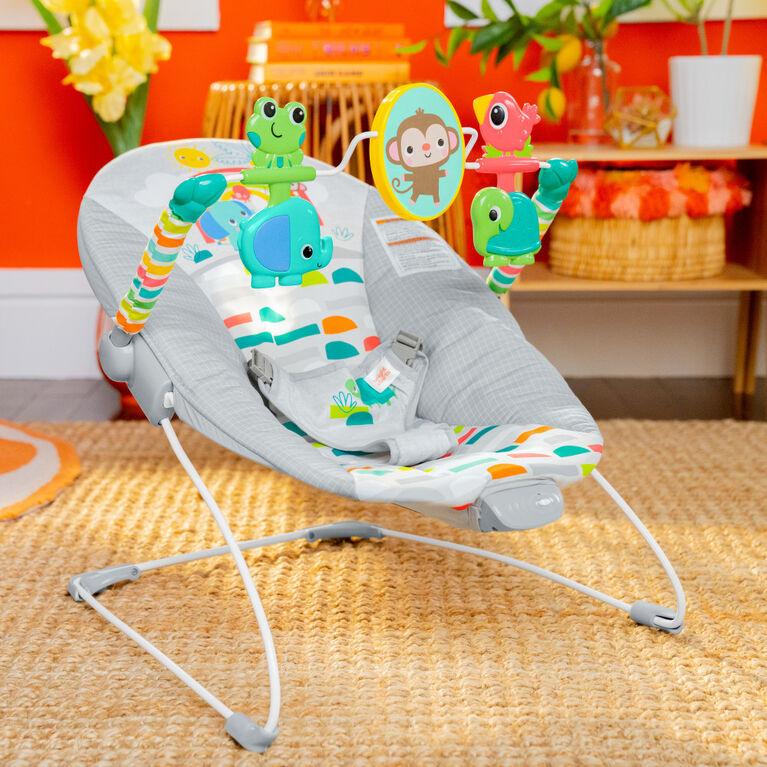 Siège et sauteur Playful Paradise Comfy Baby Bouncer