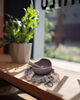 Siliscoop Bowl and Spoon - Sparrow