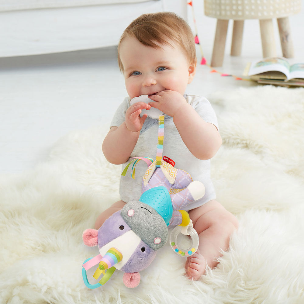 skip hop teething toys