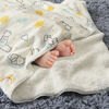 Disney Winnie the Pooh Sherpa Plush Baby Blanket, 30" x 40"