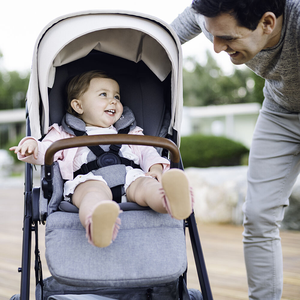 Nuna birch online stroller