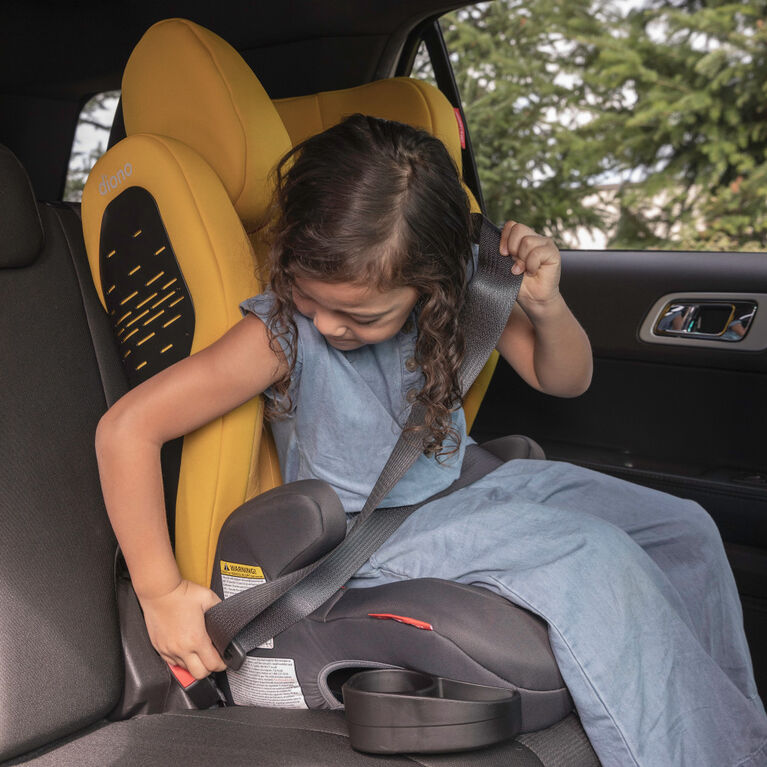 Diono Monterey 4DXT Latch 2 in 1 Booster Car Seat
