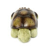 Twilight Turtle Classique Moka de Cloud b Veilleuse Constellations Tortue en Peluche