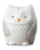 Moonlight & Melodies Owl Soother