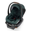 Maxi Cosi Mico Luxe+ Infant Car Seat - Twillic Green