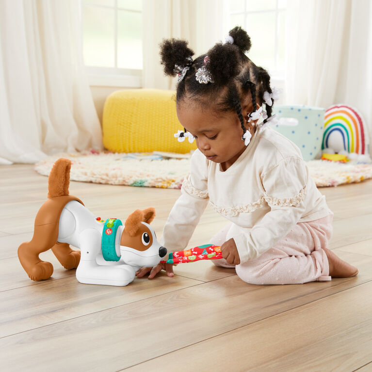 Fisher-Price 123 Crawl With Me Puppy - English Version