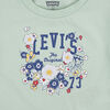 Levis T-Shirt and Shorts Set - Celadon