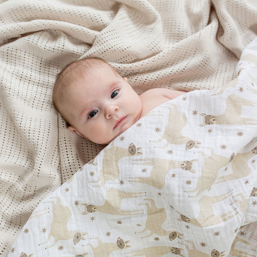 llama swaddle blanket