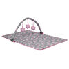 Evenflo Portable BabySuite Deluxe, Poppy