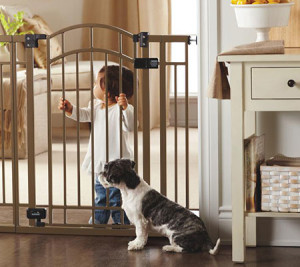 Which Baby Gate Is Right?