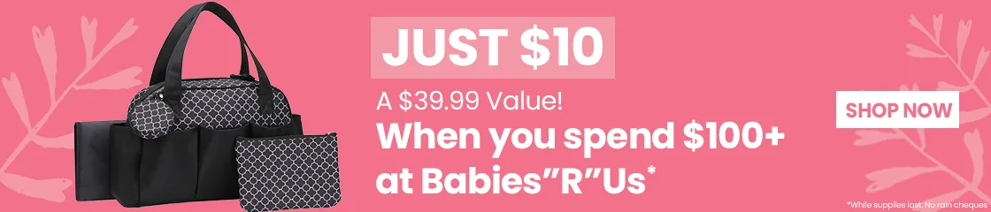 Diaper Bag - Just $10