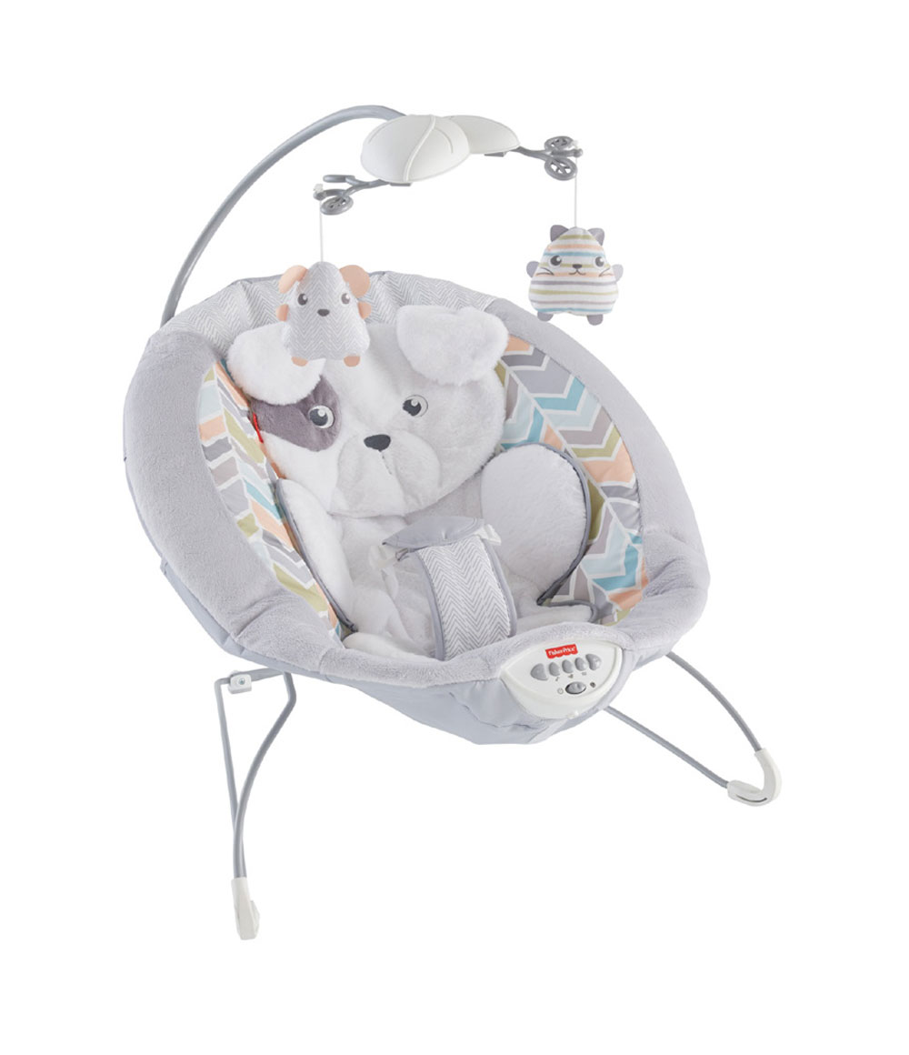 snugapuppy bouncer