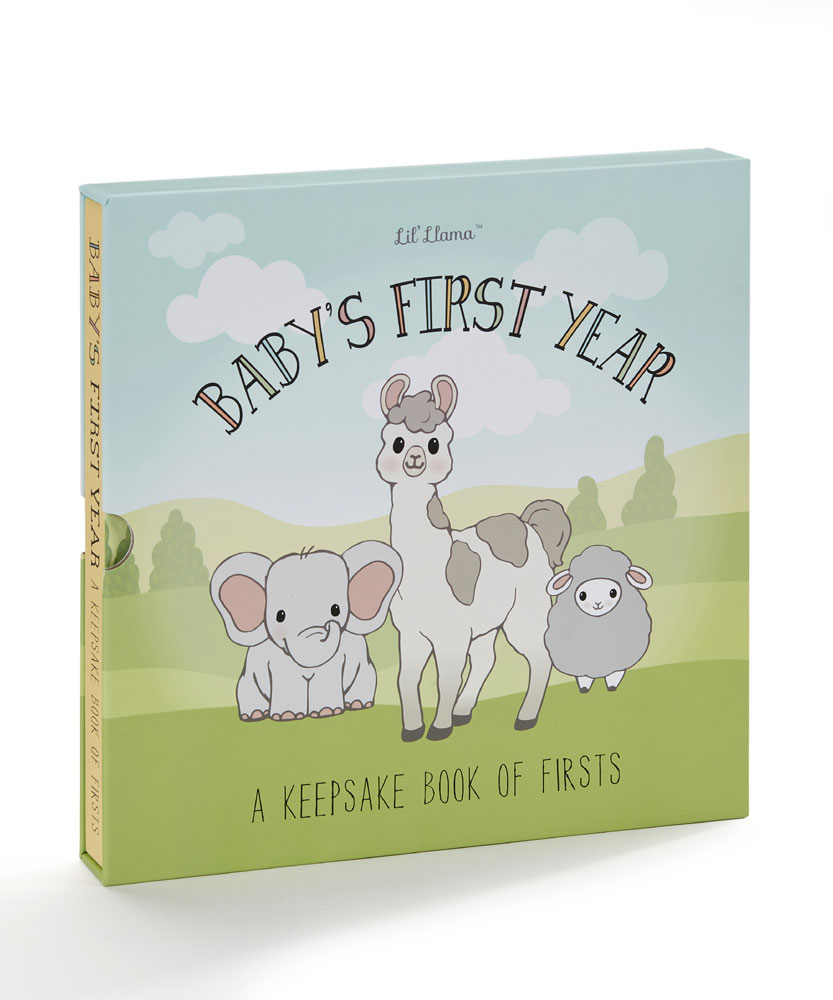 Baby's First Year Keepsake Book Babies R Us Canada