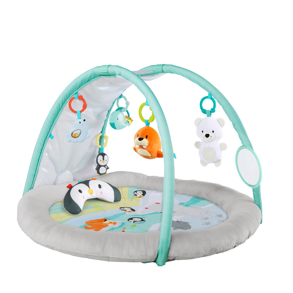 bright starts arctic glow baby gym