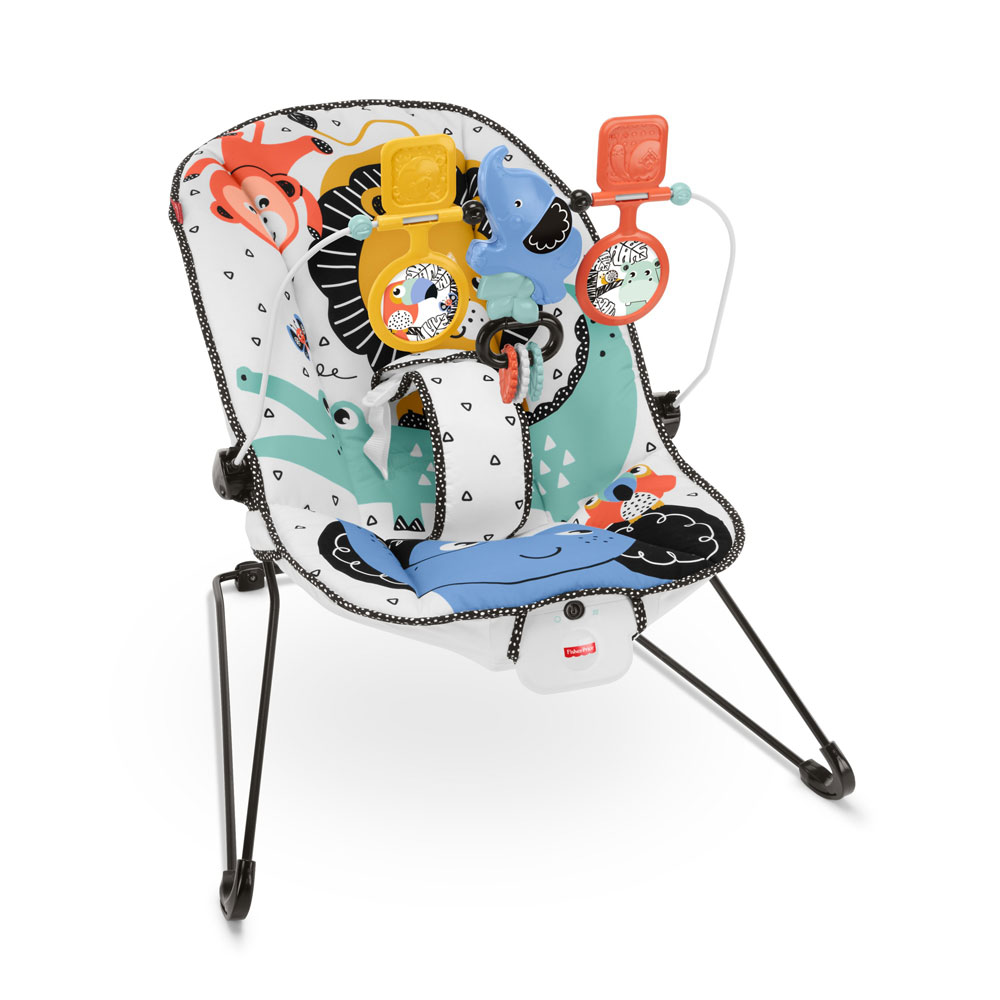 FisherPrice Baby's Bouncer Lion Around Soothing Infant Seat Babies