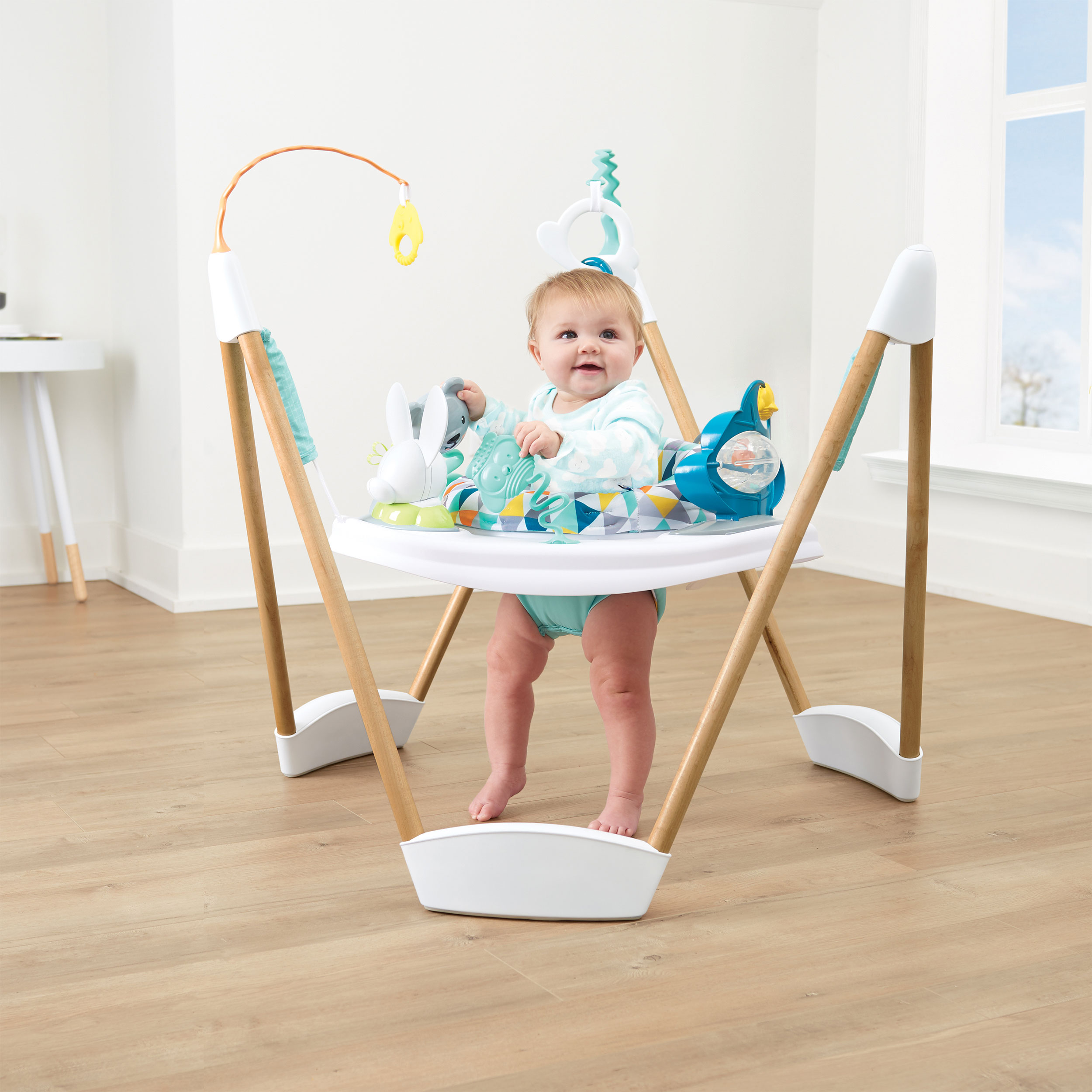 modern exersaucer